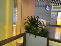 -麦当劳(上海虹桥站30B检票口楼上)
