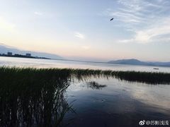 -大理洱海