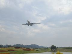 -空港花田景区