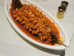 -新侨小馆(东直门北小街店)