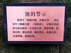 -陈家山荷花公园