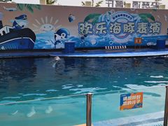 -秦皇岛新澳海底世界