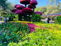 -沈阳植物园