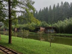 -黄海国家森林公园