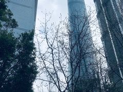 -陆家嘴中心绿地