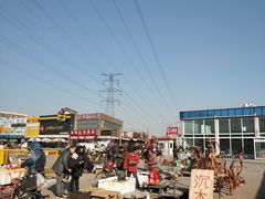 -中环花鸟鱼虫市场