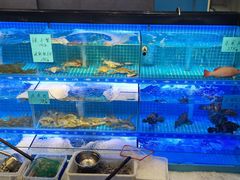 水产区-阿毛饭店(和义路店)