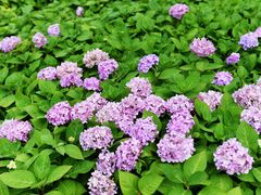 -苏州河梦清园环保主题公园