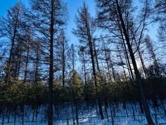 -塞罕坝国家级自然保护区