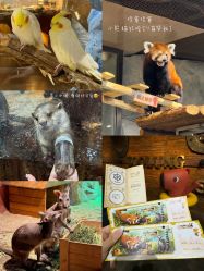 -Zoolung Zoolung动物主题公园(海信广场店)