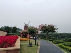 -东莞植物园