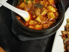 金牌麻辣豆腐-陈麻婆豆腐总店