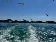 -海驴岛(荣成市)