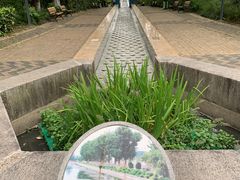 -苏州河梦清园环保主题公园