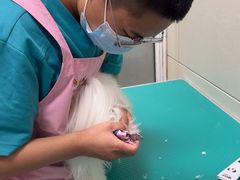 -北京观赏动物医院·24小时大型综合·猫专科·异宠专科