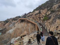 -广东惠东海龟国家级自然保护区