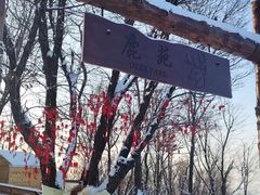 -中旅松花湖滑雪场