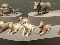 -广西壮族自治区博物馆