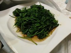 金花菜酒香-新聚丰菜馆(太监弄店)