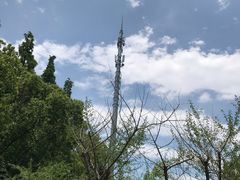 -同里国家湿地公园