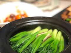 椰青菜心-闻见中国海南菜(K11店)