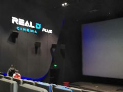 -奥斯卡升龙国际影城(RealD Cinema)