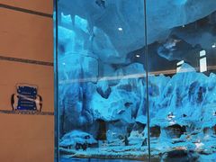 -帝企鹅自助餐厅•儿童岛•真企鹅(长隆企鹅酒店)