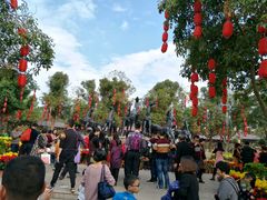 -揭东万竹园旅游景区