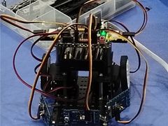 -乐博乐博少儿编程·AI机器人编程·信息学竞赛(桃园校区)