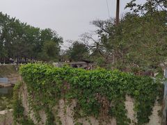 -赵州桥景区