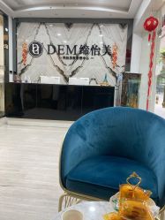 -DEM缔怡美科技美容