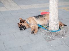 -新疆国际大巴扎