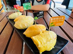 -榴莲BB 四季果园