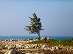 -放鸡岛生态旅游国际度假区