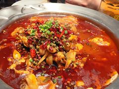 -美蛙四季(黄寺大街店)