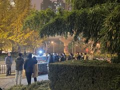 -新疆阿力烧烤