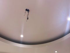 -紫光园·烤鸭·北京菜(劲松店)