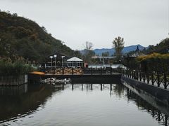 -荷塘味道(水长城店)