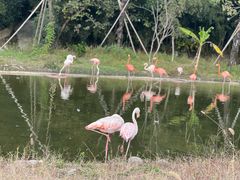 -杭州野生动物世界