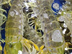 -东江海鲜酒家(艺都分店)