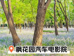 -枫花园汽车电影院(朝阳公园店)