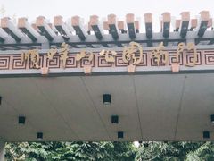 -顺峰山公园