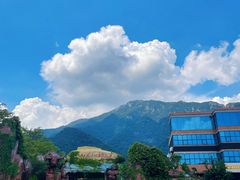 -牛鱼嘴原始生态风景区