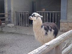-昆明动物园