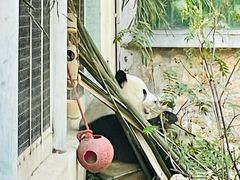 -北京动物园