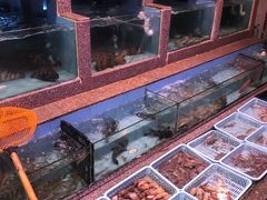 水产区-光兴海鲜排档·小炒(莱利园店)