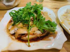 白切鸡-电白鸭粥店(下沙二坊88号店)