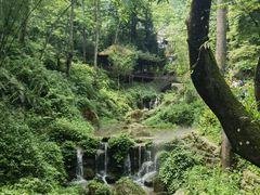 -青城山