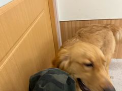 -杭州西湖博物馆总馆