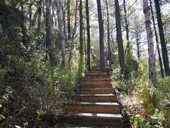 -白草畔自然风景区